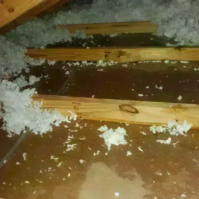 Attic Water Damage in Lake Barcroft, VA