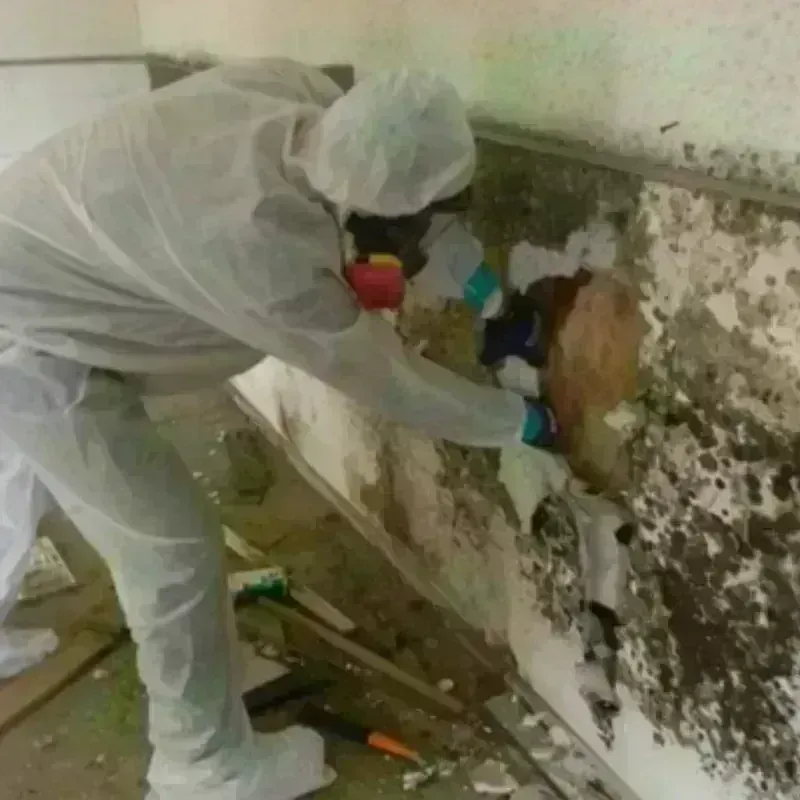 Mold Remediation and Removal in Lake Barcroft, VA